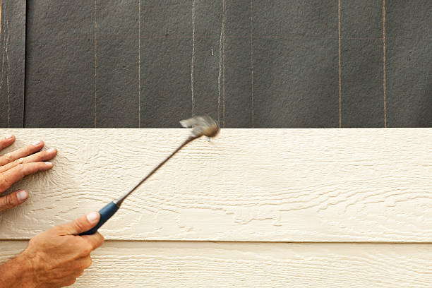 Best Composite Siding  in Rosepine, LA